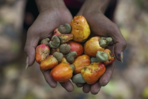 Pertanian Kian Terpuruk, Wawonii Butuh Dorongan Ekonomi Baru dari Investasi