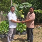 PT Hoffmen Salurkan Bantuan Bibit Kakao untuk Kelompok Tani di desa Mata Wawatu Konsel