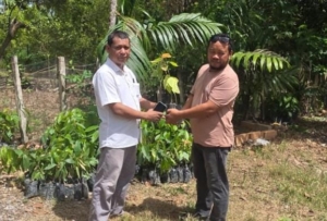 PT Hoffmen Salurkan Bantuan Bibit Kakao untuk Kelompok Tani di desa Mata Wawatu Konsel