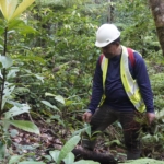 Catatan Tiga Tahun Riset Ilmiah, Ungkap Kondisi Biodiversitas Pulau Wawonii