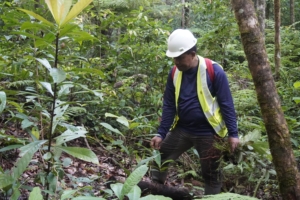 Catatan Tiga Tahun Riset Ilmiah, Ungkap Kondisi Biodiversitas Pulau Wawonii