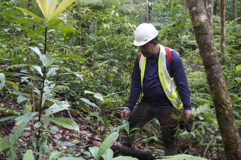 Catatan Tiga Tahun Riset Ilmiah, Ungkap Kondisi Biodiversitas Pulau Wawonii