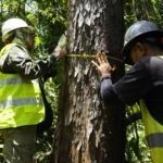 Ungkap Biodiversitas Pulau Wawonii, Peneliti: Kolaborasi Multipihak