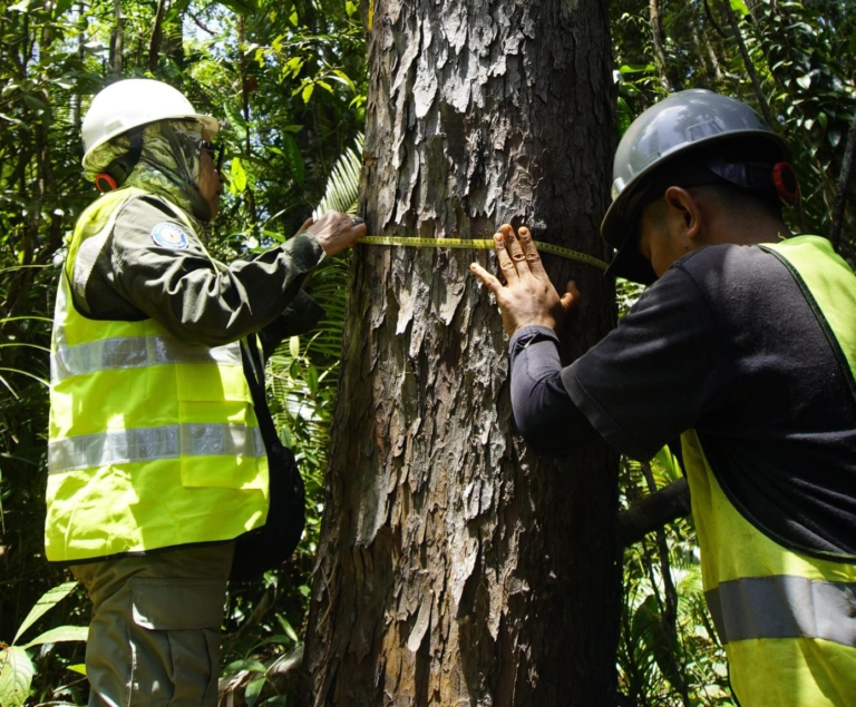Ungkap Biodiversitas Pulau Wawonii, Peneliti: Kolaborasi Multipihak