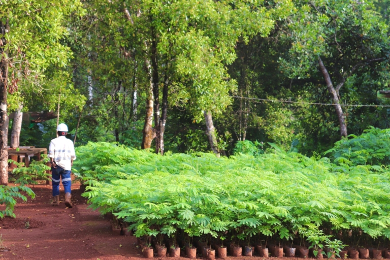 PT GKP Catat Progres Reklamasi Signifikan, Total Hampir 20 Ribu Bibit Tertanam di Konkep 
