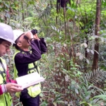 Program Biodiversitas PT GKP, Peneliti Ungkap Spesies Baru di Wawonii 